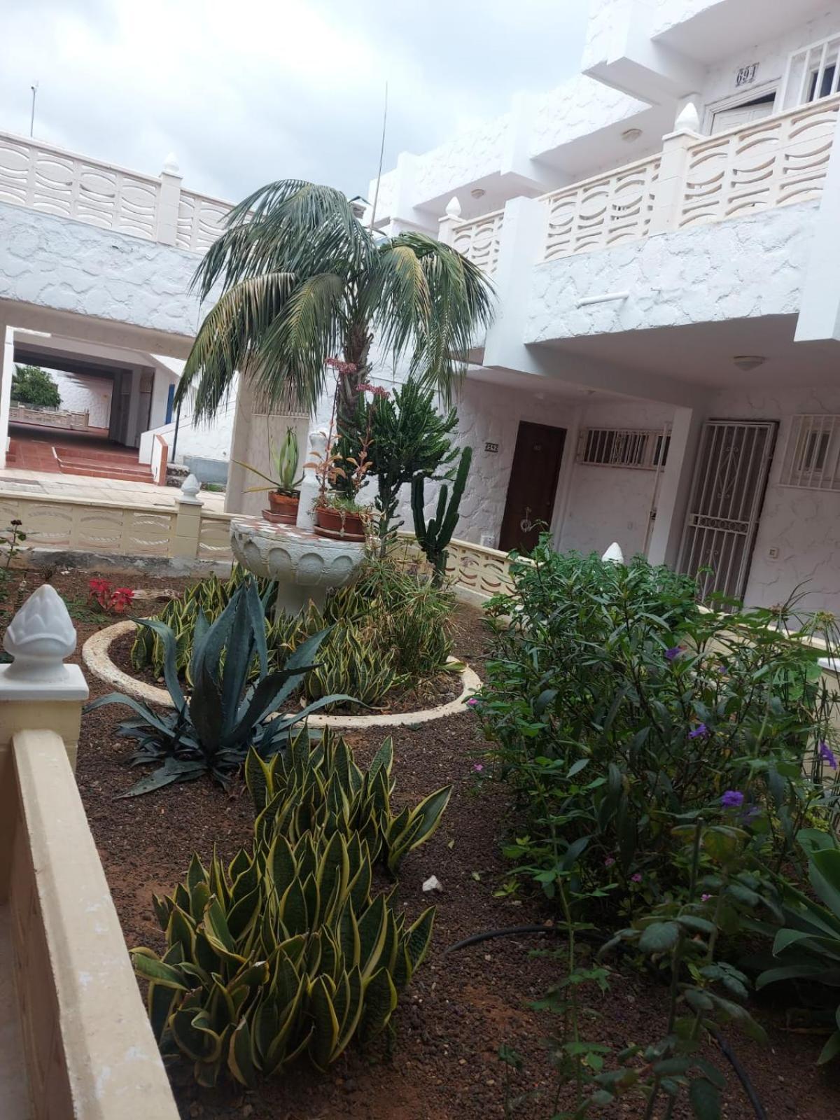Casa Papagayo Lägenhet Arona  Exteriör bild